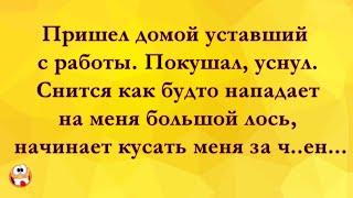 Утренний М#нет не Удался... Анекдоты Онлайн! Короткие Приколы! Смех! Юмор! Позитив!