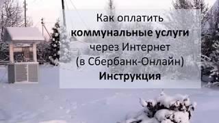 ШЭКГ. Урок 11.2 Услуги через интернет. Часть 2. Банки. Оплата Услуг Организации по Реквизитам