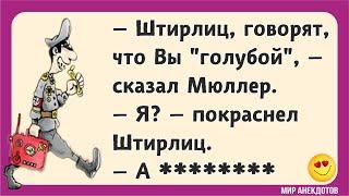 Смешные анекдоты про Штирлица короткие и не очень